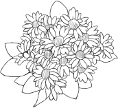 絵柄01